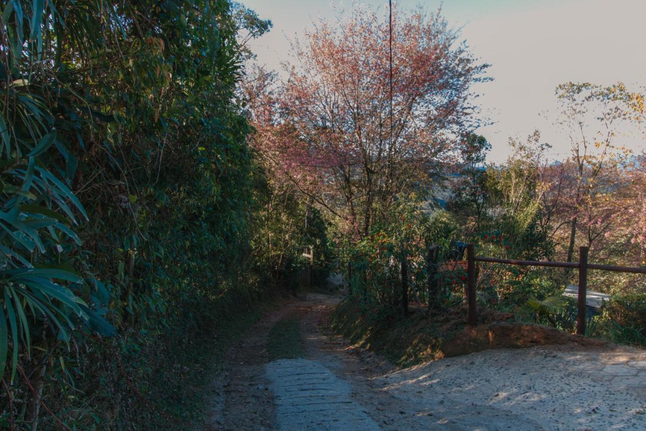 Chales Cerejeira Visconde De Maua Exterior photo